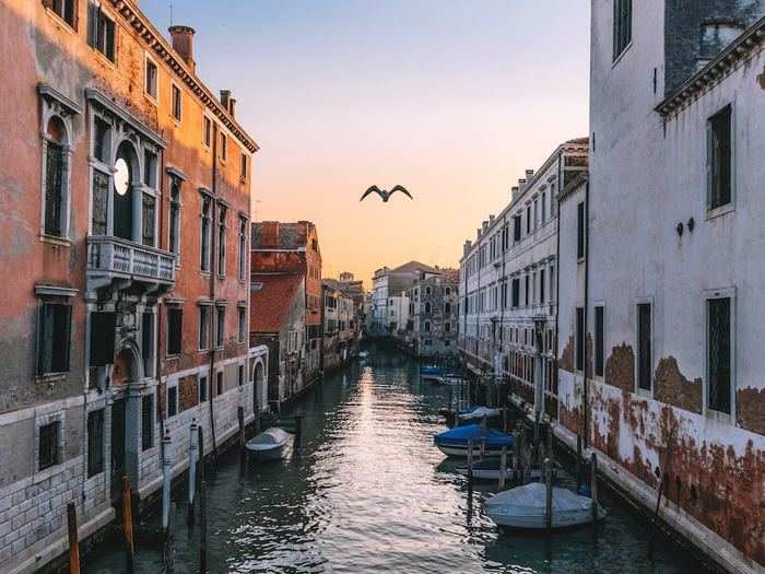 Feast on lentils in true Venetian tradition in Venice.