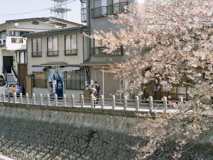 Slurp noodles and sip sake in Hida-Takayama, Japan.