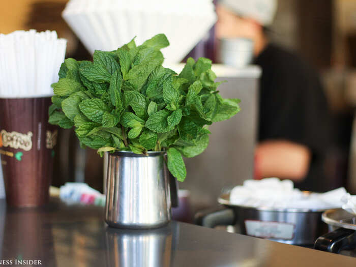 A bundle of mint sits on the counter, and the barista plucks three leaves for every cup of the Philharmonic, a house-favorite blend. The floral brew gets an extra kick from cardamom.