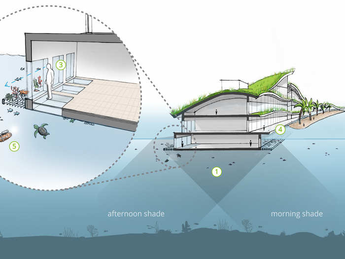 The team wants to grow much of its food through aquaculture, which involves breeding plants and fish in water.