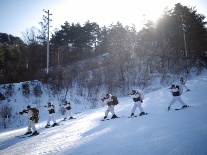 Marines practiced operating as a single unit while skiing down mountains.