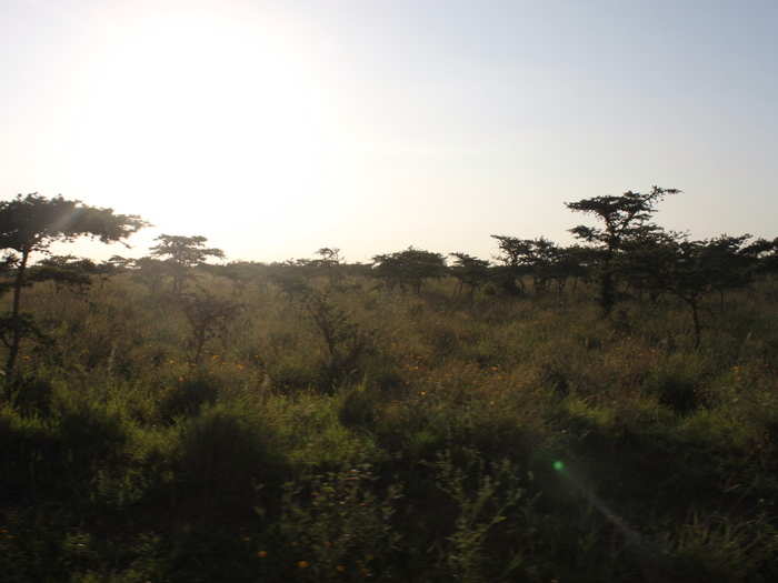 The early-morning view was incredible as the sun began to rise over Nairobi.