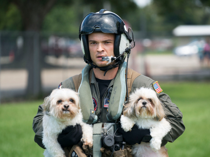 A Naval aircrewman rescues two dogs at Houston