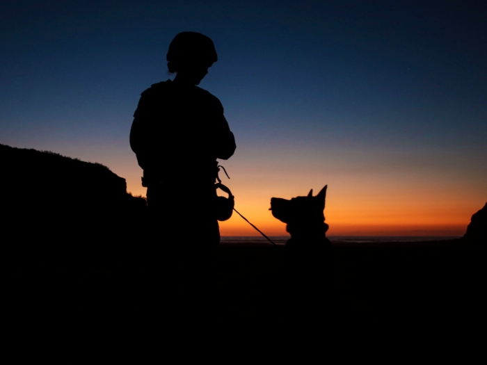 Cpl. Suzette Clemans, a military-working-dog handler with 1st Law Enforcement Battalion, I Marine Expeditionary Force, and Denny, her Belgian Malinois patrol explosive-detection dog, prepare to search for explosives on the beach aboard Marine Corps Base Camp Pendleton in California on October 21.