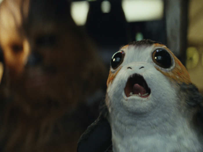 16. Porgs