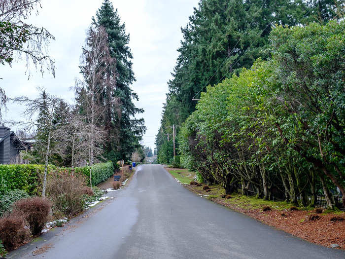 The town is filled with evergreens. Medina was designated as a Tree City by the Arbor Day Foundation in 2006.