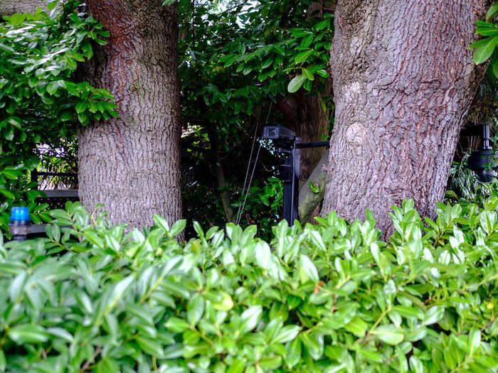 Cameras, motion sensors, and other forms of surveillance are outside every house on the waterfront side.