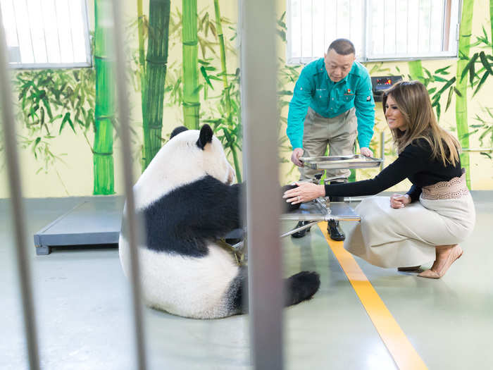 November 10, 2017: Melania Trump feeds and pets Gu Gu the panda in the Beijing Zoo in China.