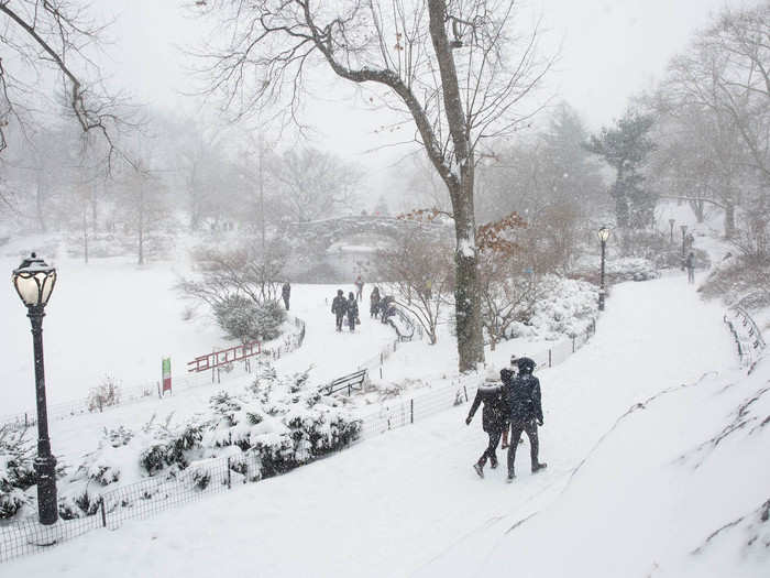 I then ventured into Central Park.