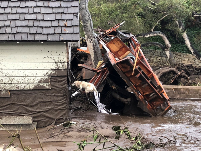 Here, a search dog looks for victims inside a damaged house.