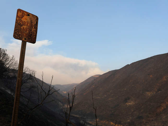 This is what the landscape looked like after being burnt by the fires. The vegetation has not had time to reinstate itself into the soil since the December blazes.