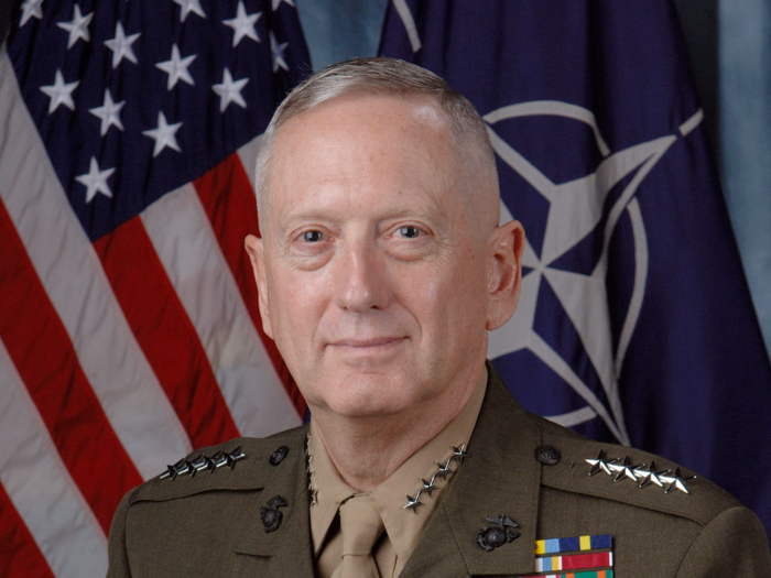 Mattis then held other high-level roles, like NATO