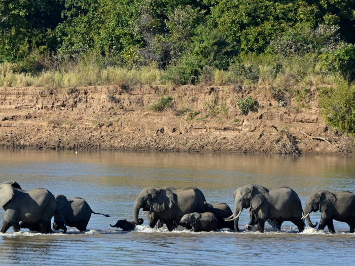 Luwa Plain National Park, Zambia