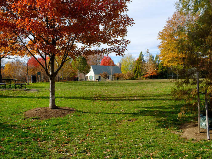 Mitchell Park is a beautiful place to walk your dog or have a picnic. Perhaps residents might find Bezos taking his dog for a midday stroll there.