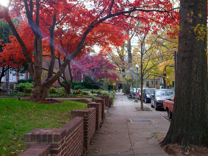 The neighborhood is full of beautiful trees and finely manicured lawns. I guess if you