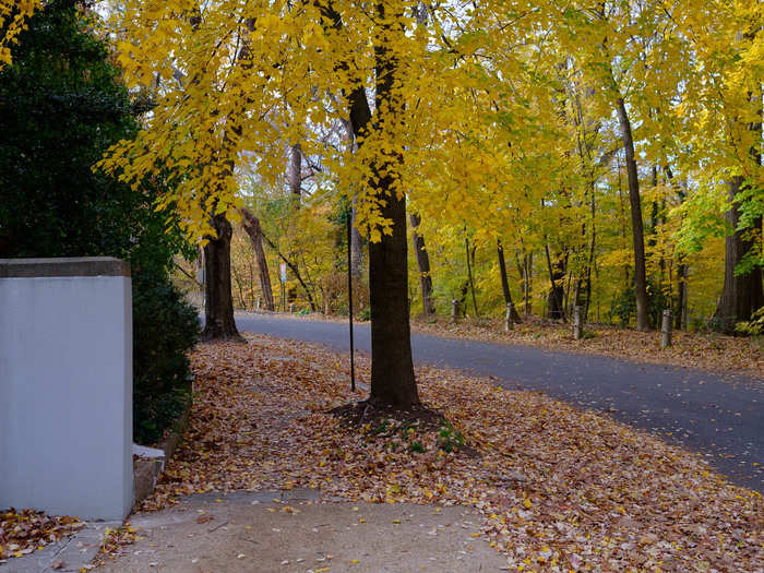 A short drive from Sheridan-Kalorama is Rock Creek Park, a 2,000-acre urban park. But if you don