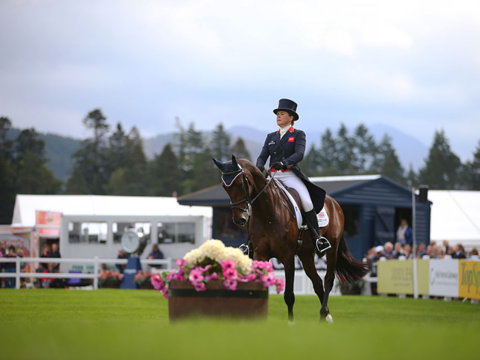 There are various equestrian disciplines, including dressage, eventing, and show jumping.