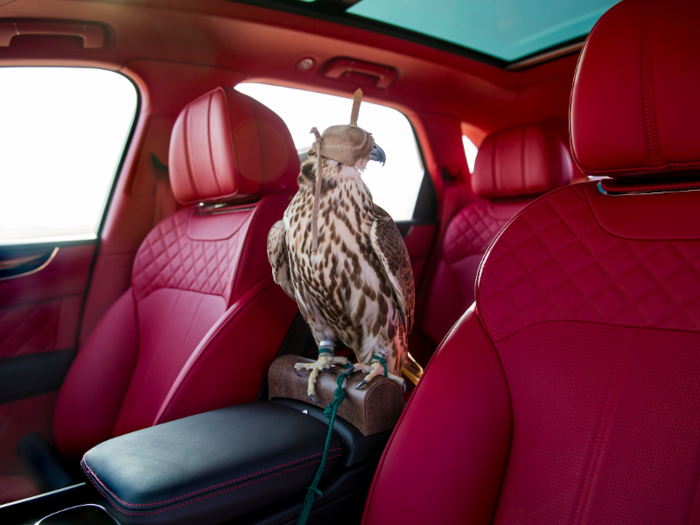 It comes with everything you may need for the sport, including a perch for your falcon on the center console!