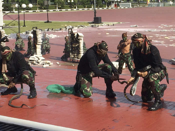 The Indonesian special forces, or Kopassus, unsacked snakes and begin whipping them around to tire them out.