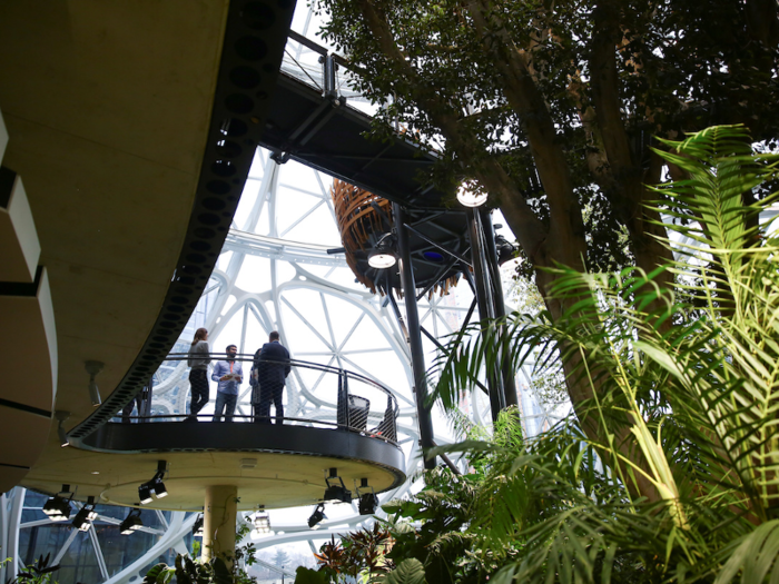 The idea behind the spheres is greenery and biodiversity. Over 40,000 plants of 400 species fill the domes. Most of the plants are from tropical eco-systems referred to as "cloud forests" where high elevation enables plants to get moisture directly from clouds. The plants were chosen specifically so they could be comfortable at temperatures that are also comfortable for humans.