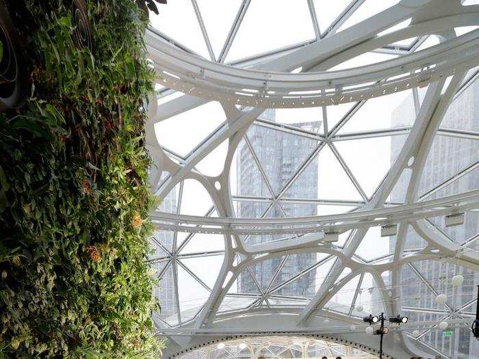 For scenery, the Spheres feature river and waterfall features, paludariums, and a four-story living wall.