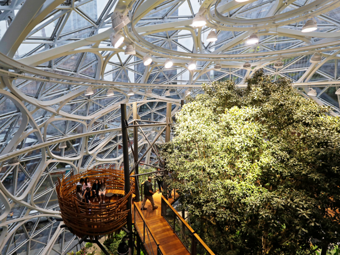 They have "treehouse" meeting rooms where Amazonians can collaborate among the foliage.