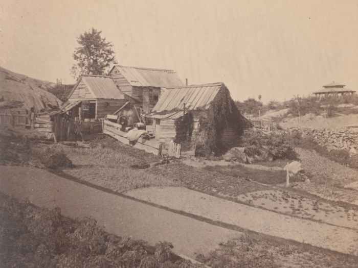 Olmsted and Vaux originally reserved 15 acres of the park for military drills and exhibitions. They later realized that a quiet park would probably not be the best place for this.