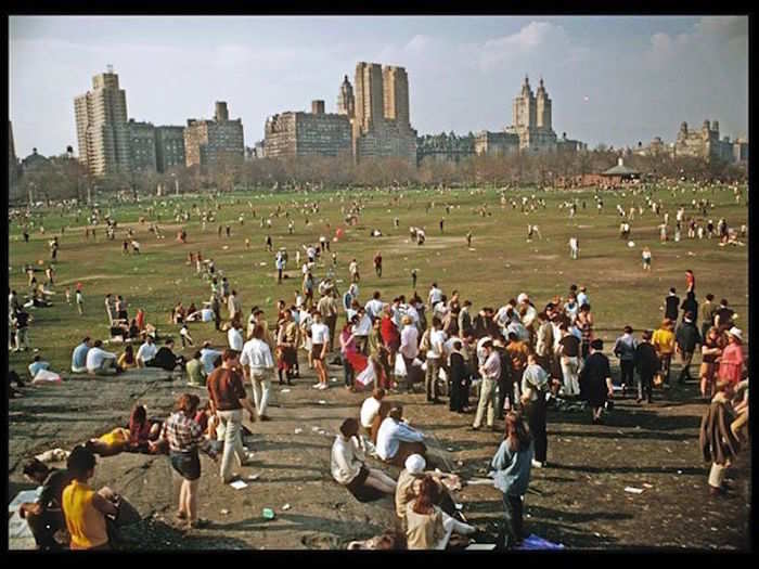 On most days, Sheep Meadow served as a hangout spot where visitors sunbathed.