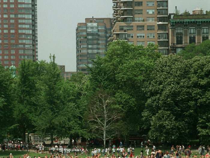 Crowds have also gathered in Sheep Meadow for major cultural events, including a Barbara Streisand concert in 1967 and the 1969 Apollo moon landing. Here