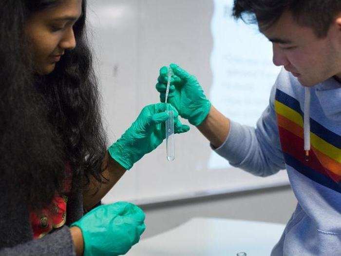 After completing their graduation requirements by the end of 11th grade, seniors dig deeper into the fields that interest them through seminar-style electives called capstone classes.