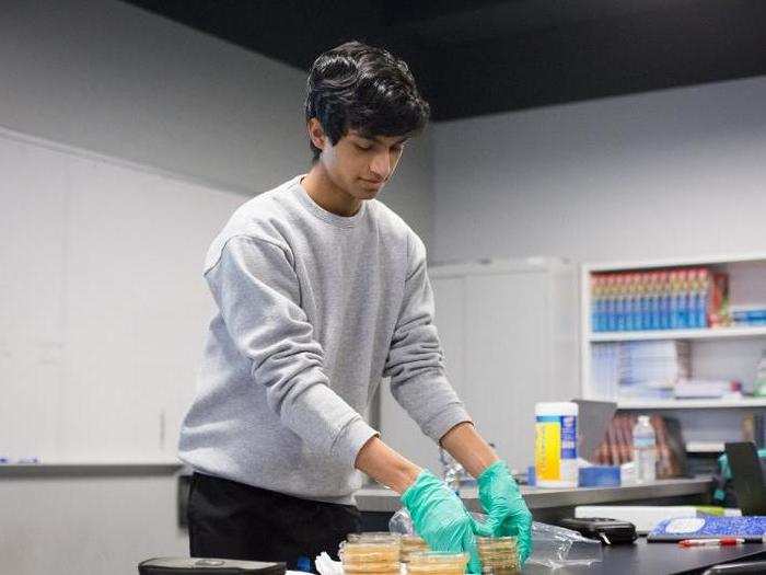 I popped into a Biology of Cancer capstone class where students tested different sunscreens in live yeast samples, in order to measure their ability to provide protection.