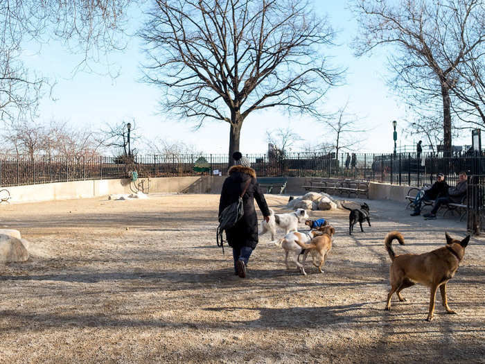 There are a couple of dog runs in the park that seemed to be getting plenty of use when I stopped by.