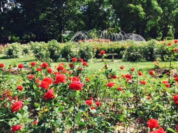 Ohio: Columbus Park of Roses