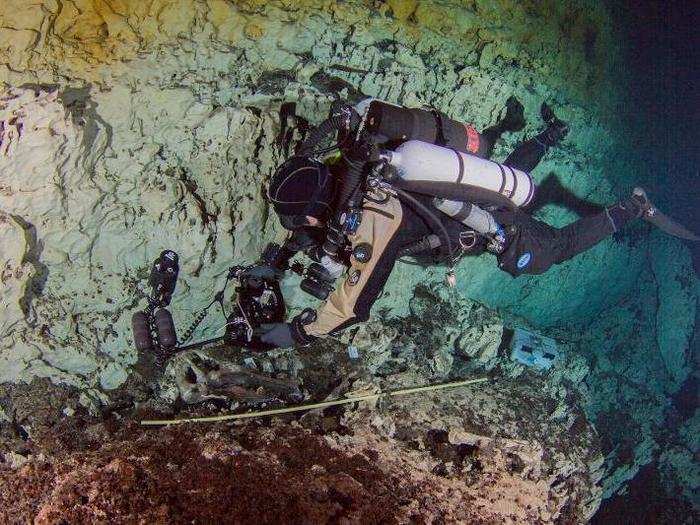 Within the flooded caves, the archaeologists uncovered a deep pit — dubbed the Hoyo Negro (Black Hole) — containing fossils of Ice Age beasts and an almost completely intact human skeleton.