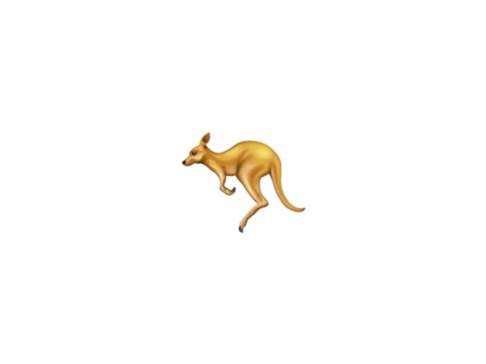 Kangaroo