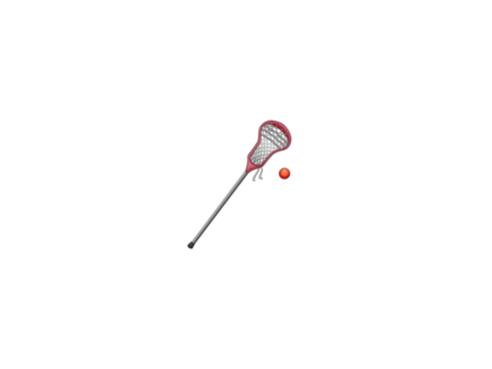 Lacrosse stick and ball