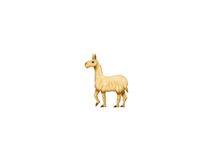 Llama