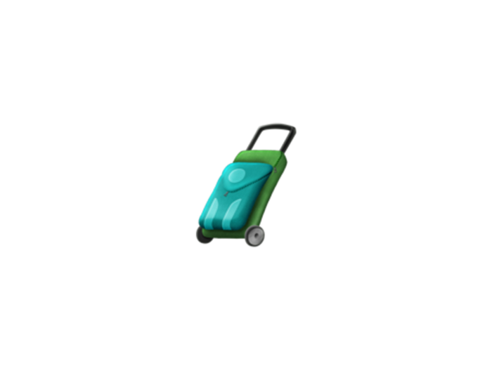 Luggage