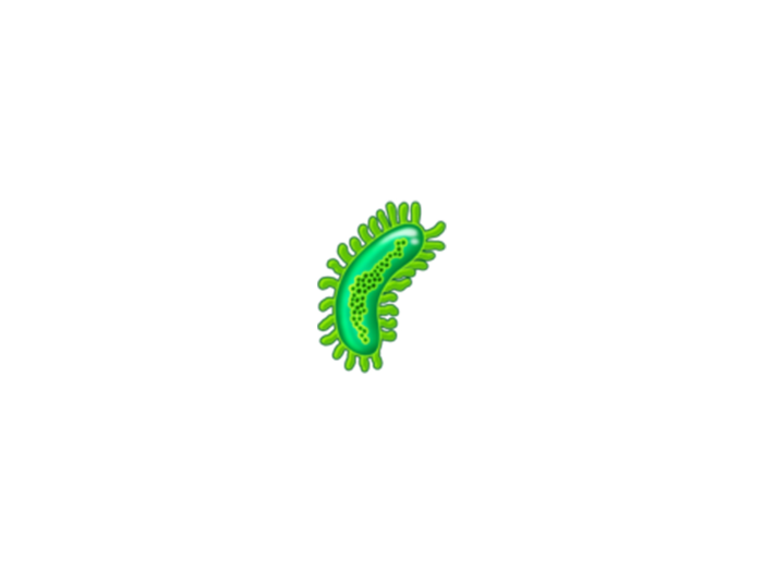 Microbe