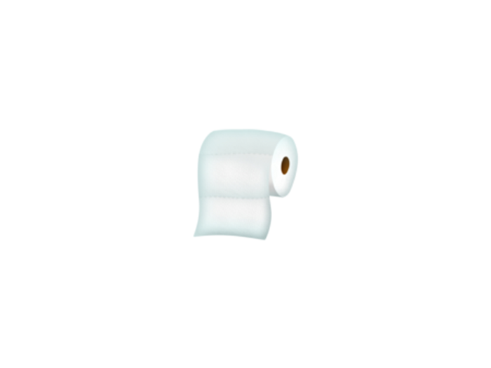 Roll of toilet paper