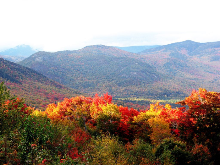 7. New Hampshire