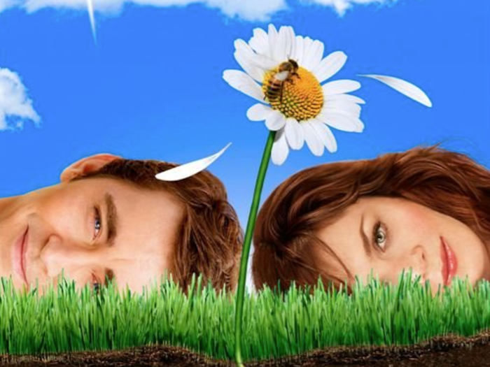 "Pushing Daisies"