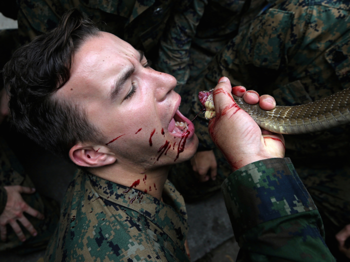 As in years past, Marines were invited to try drinking snake blood, which could keep them alive if they were ever stranded in the jungle.