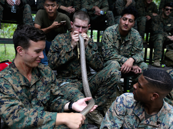 After drinking the blood, Marines also grill and eat the cobra.