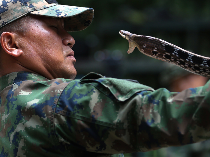 Jungle exercises are also part of Cobra Gold. An important element is learning how to survive on the wildlife in the jungle.