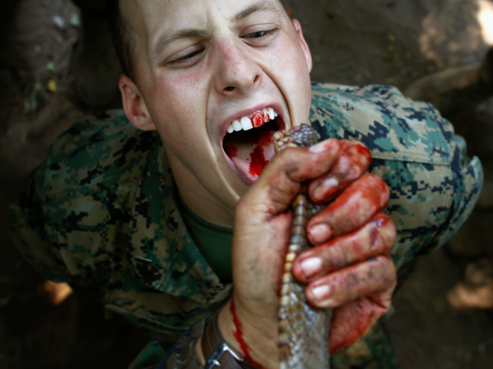 Drinking snake blood is a very common part of Cobra Gold, with Marines from around the world having to cut off the heads of cobras, and drink up as much blood as they can.