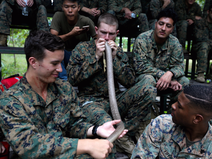 But the rest of the snake is not wasted — the Marines have to learn how to cook and eat its body as well.