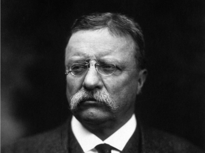 4: Teddy Roosevelt