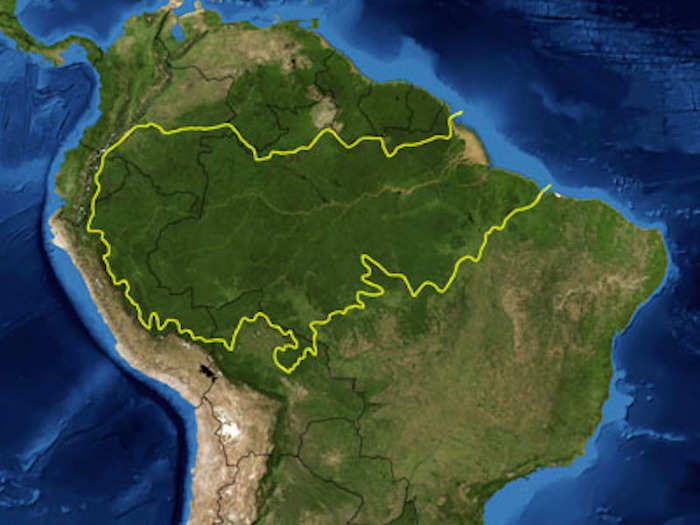 But most of the known uncontacted tribes live in South America, deep in the Amazon rainforest.