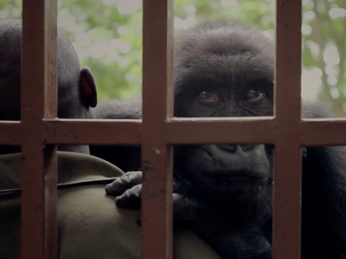 "Virunga" (2014)